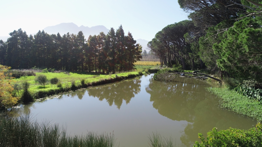 5 Bedroom Property for Sale in Stellenbosch Farms Western Cape